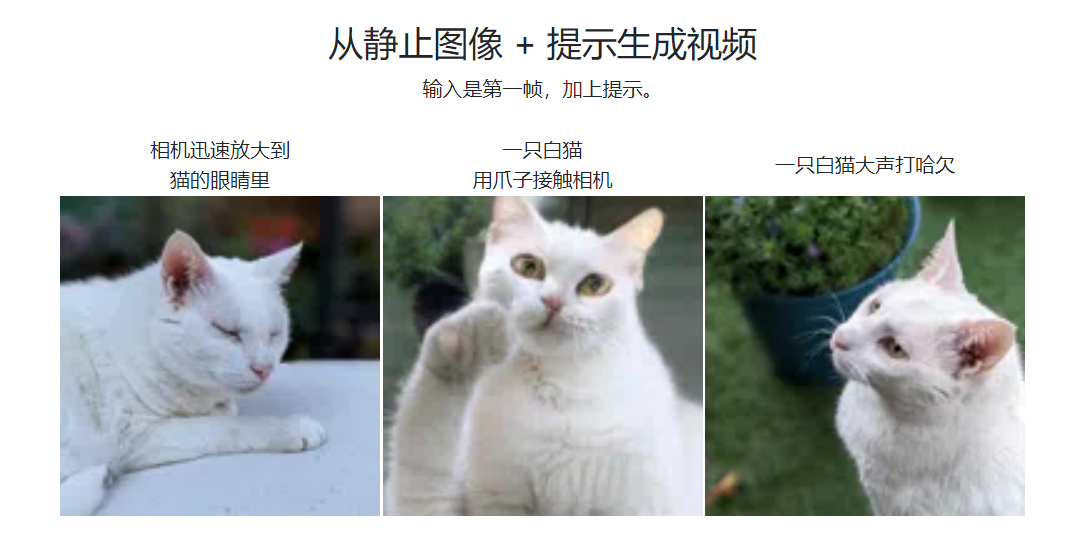phenaki翻译站点